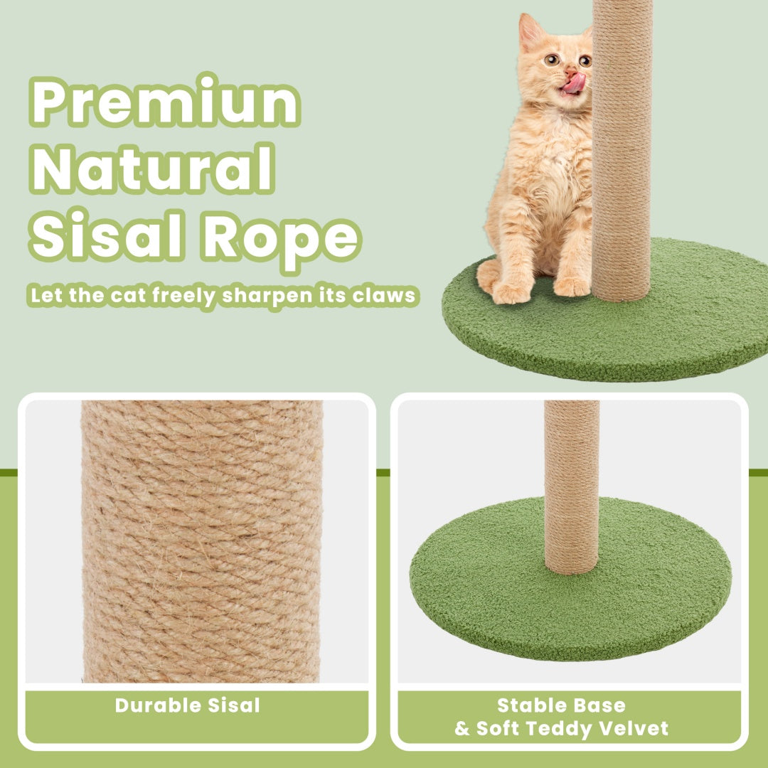 Tall Scratching Post with Dangling Ball