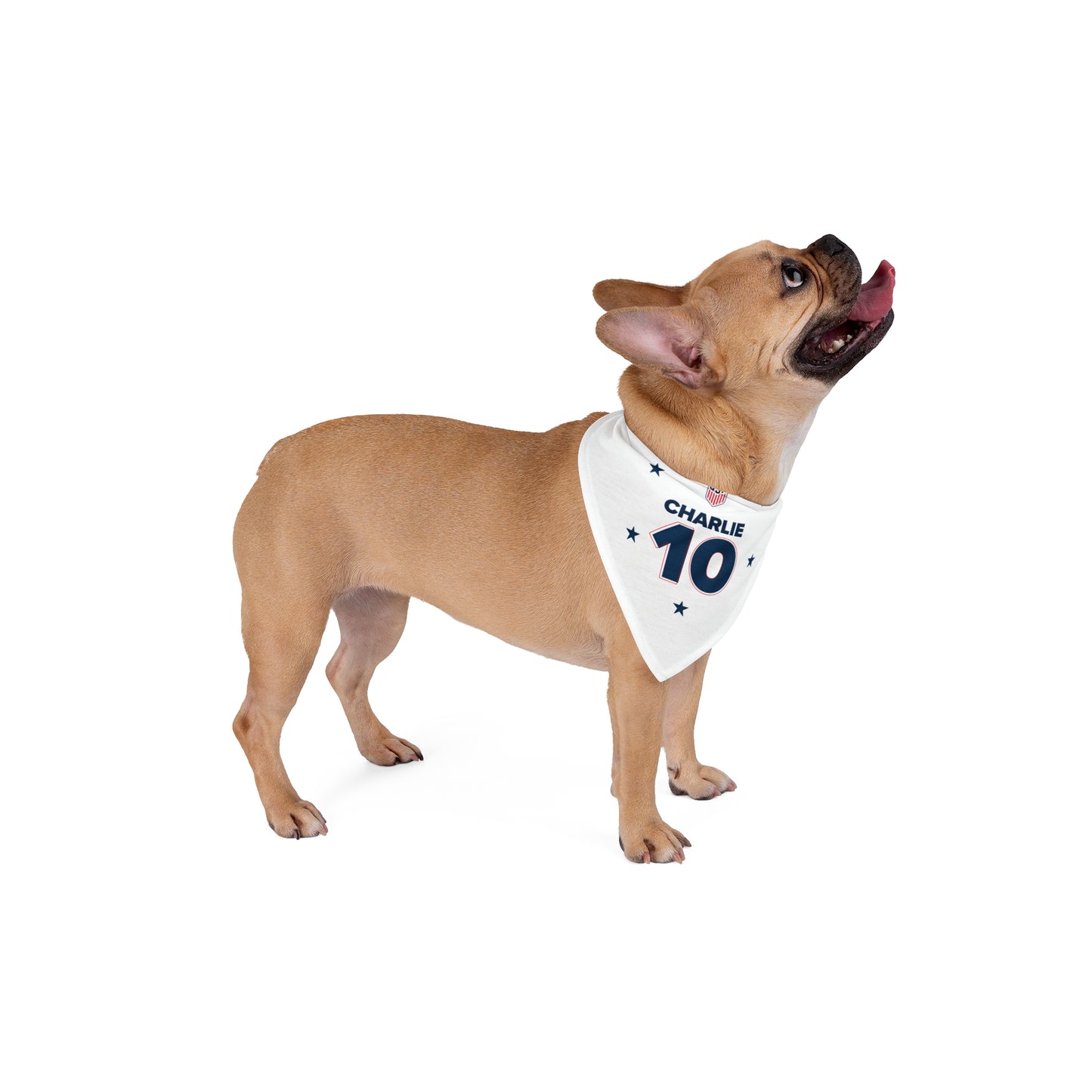 Bandana - Personalized USA World Cup Dog
