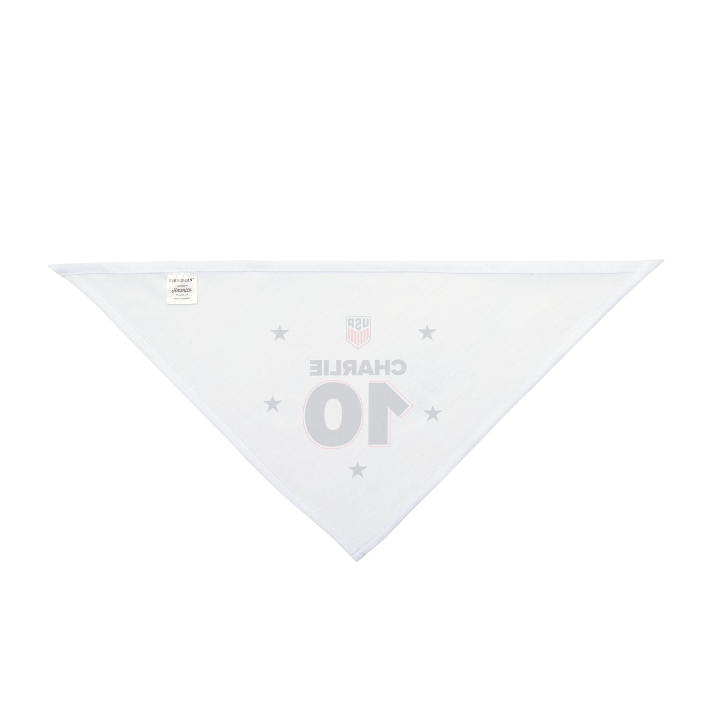Bandana - Personalized USA World Cup Dog