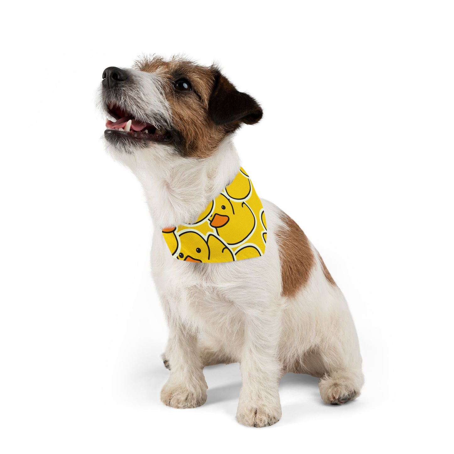 Pet Bandana Collar - Duck Vibes