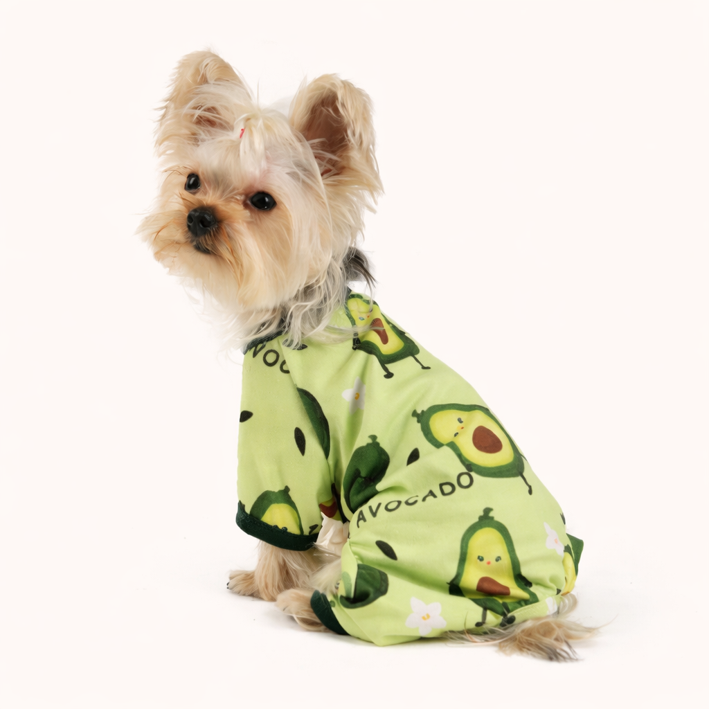 Pet Outfit - Avocado