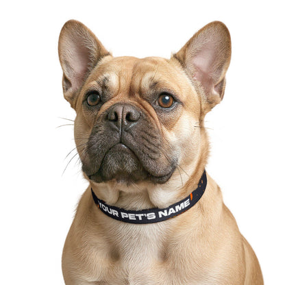 Personalized Clip-On Pet Collar