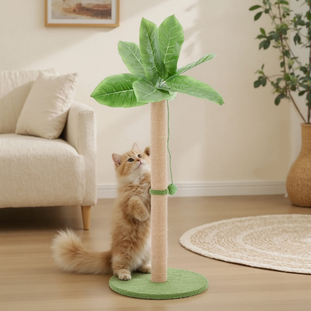 Tall Scratching Post with Dangling Ball