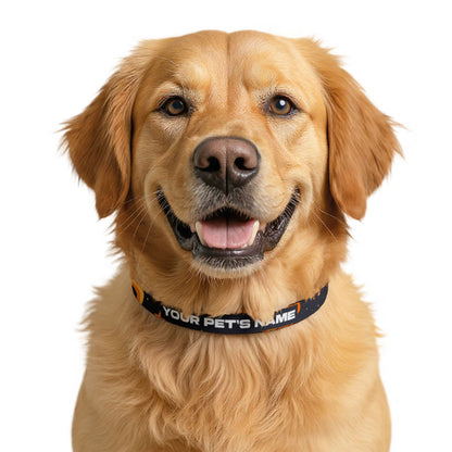 Personalized Clip-On Pet Collar