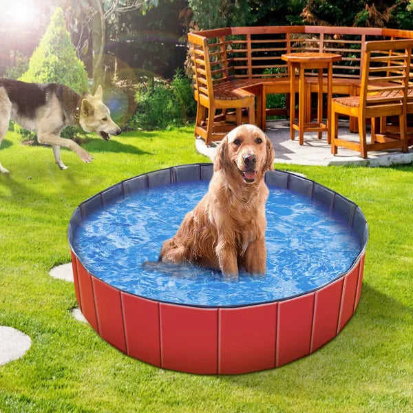 Foldable Dog & Baby Swimming Pool