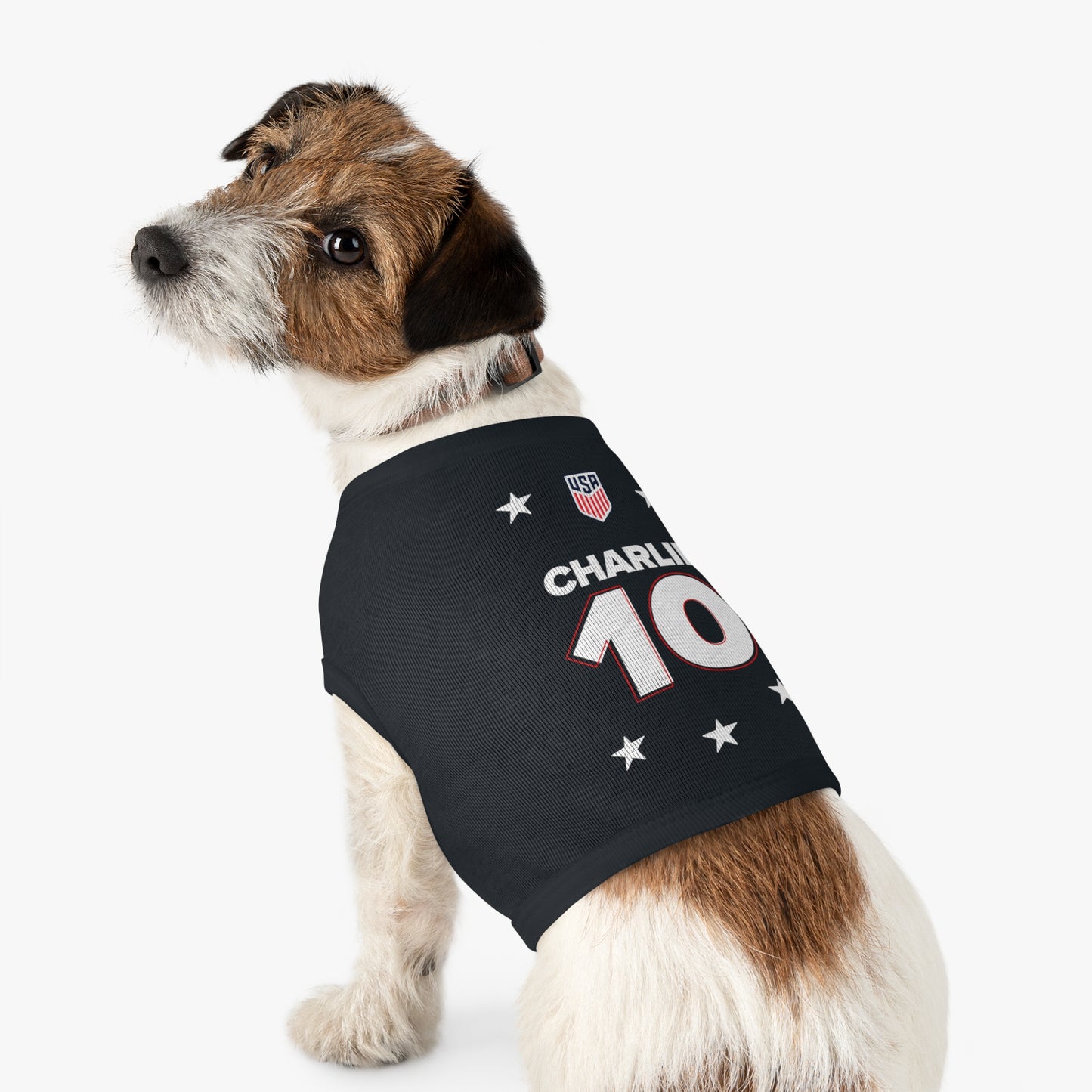 Jersey - Personalized USA World Cup Dog