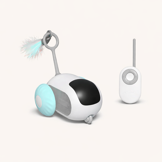 Smart Interactive Toy