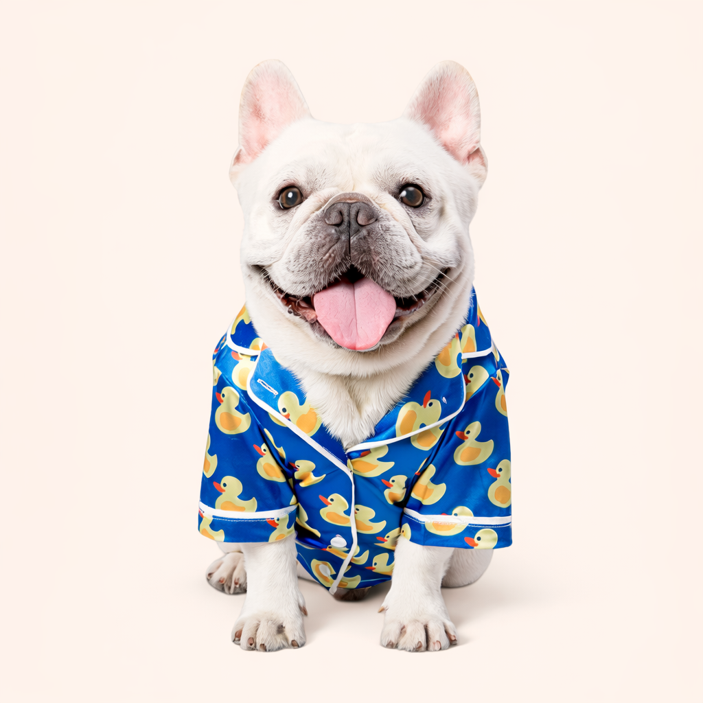 Pet Outfit - Duck