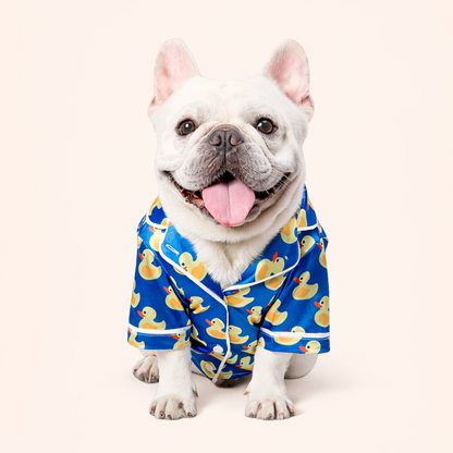 Pet Outfit - Duck