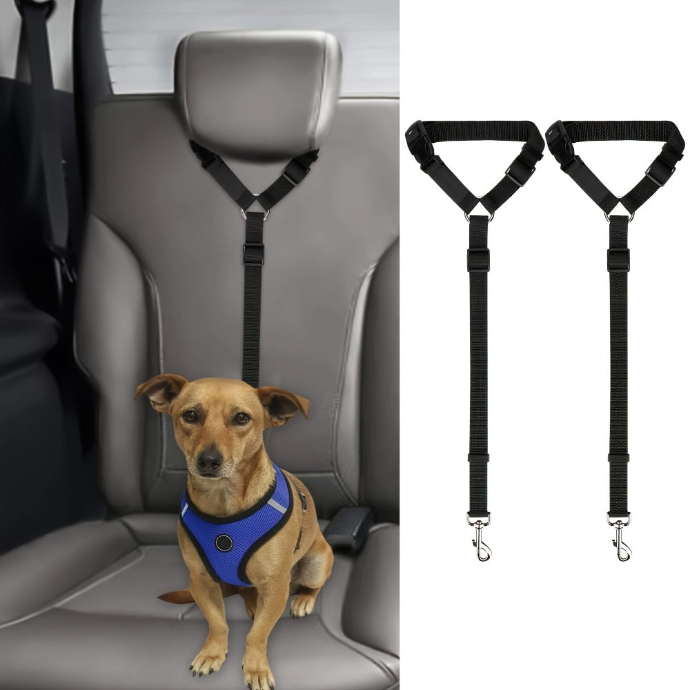 Durable 2-Piece Dog Leash Set