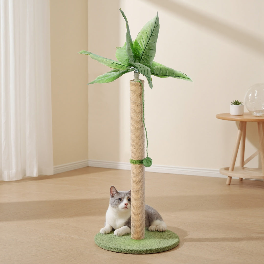 Tall Scratching Post with Dangling Ball