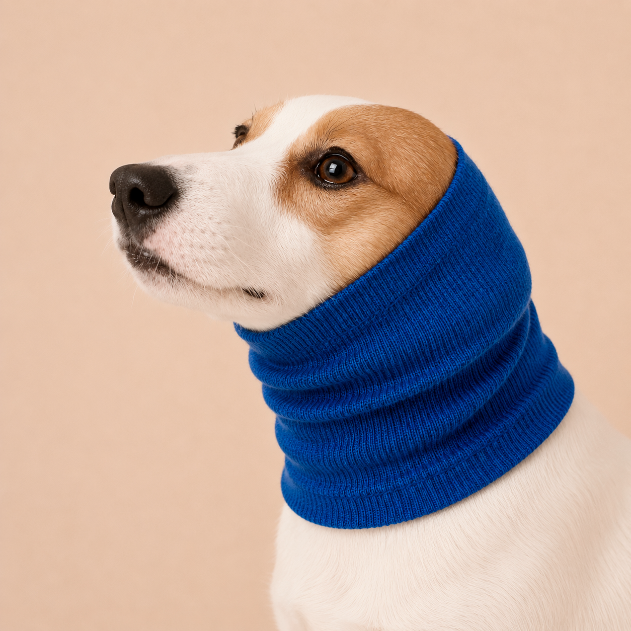 Pet Dog Comforter Headband Scarf