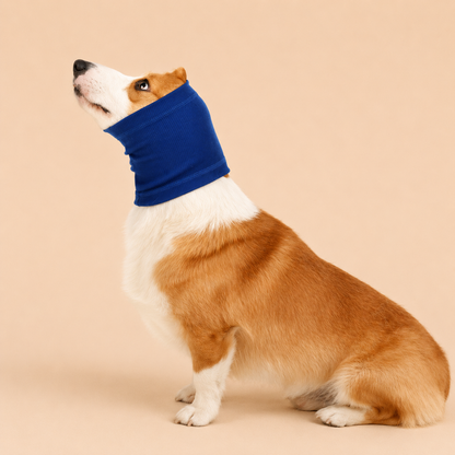 Pet Dog Comforter Headband Scarf