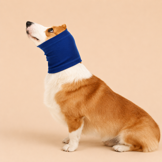 Pet Dog Comforter Headband Scarf