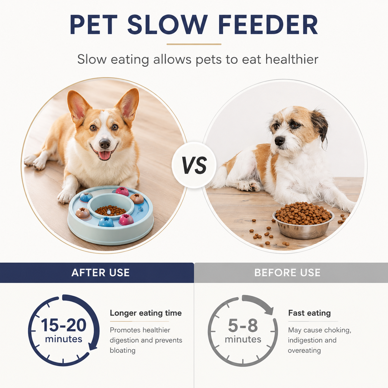 Interactive Slow Feeder Puzzle