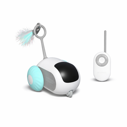 Smart Interactive Toy