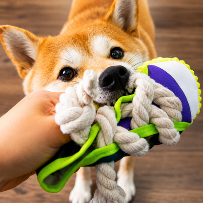 The Shoe He Can Chew