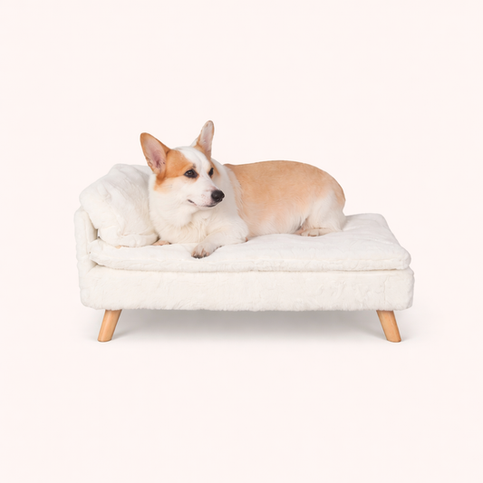 Elevated Pet Bed