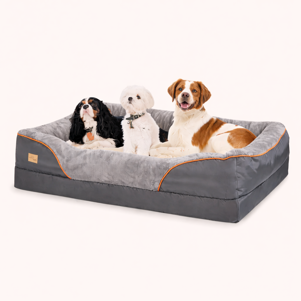 Orthopedic Dog Bed
