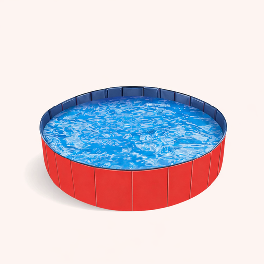 Dog Swimming Pool