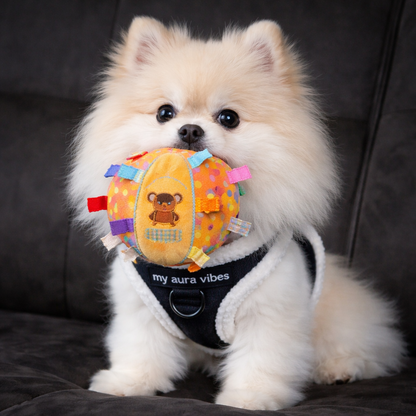 Tough Interactive Dog Ball Toy