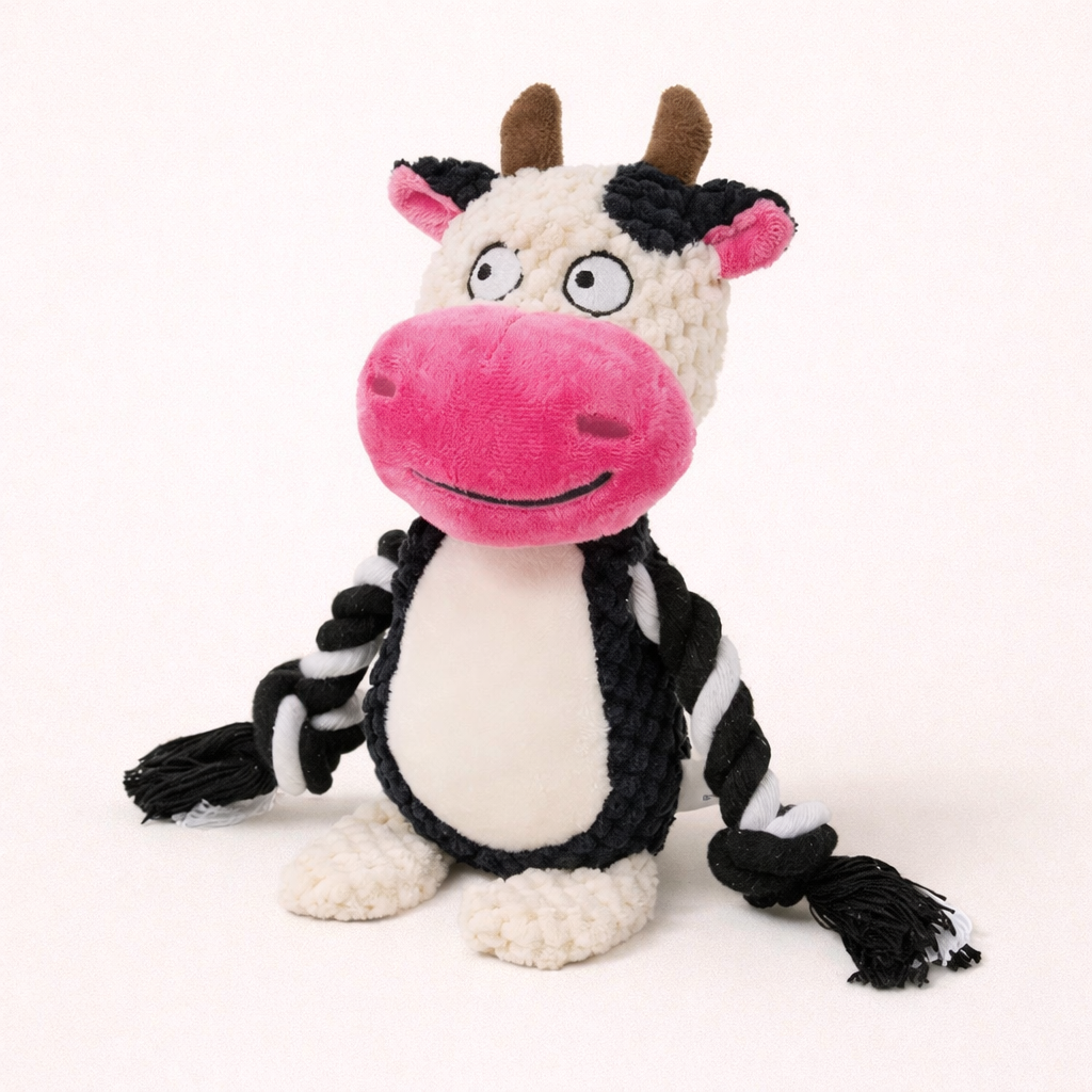 Tough Squeaky Dog Chew Toy