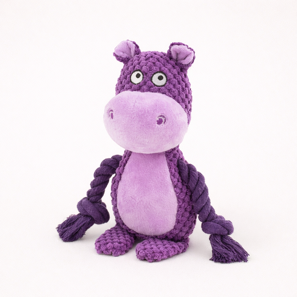 Tough Squeaky Dog Chew Toy