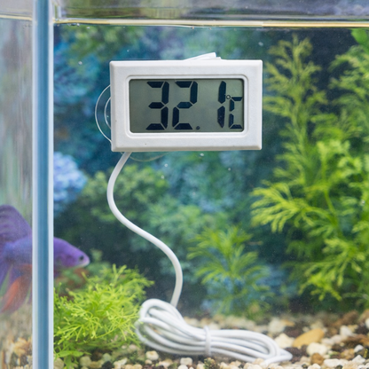 Digital Aquarium Thermometer