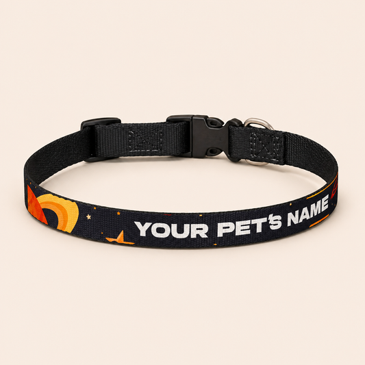 Personalized Clip-On Pet Collar