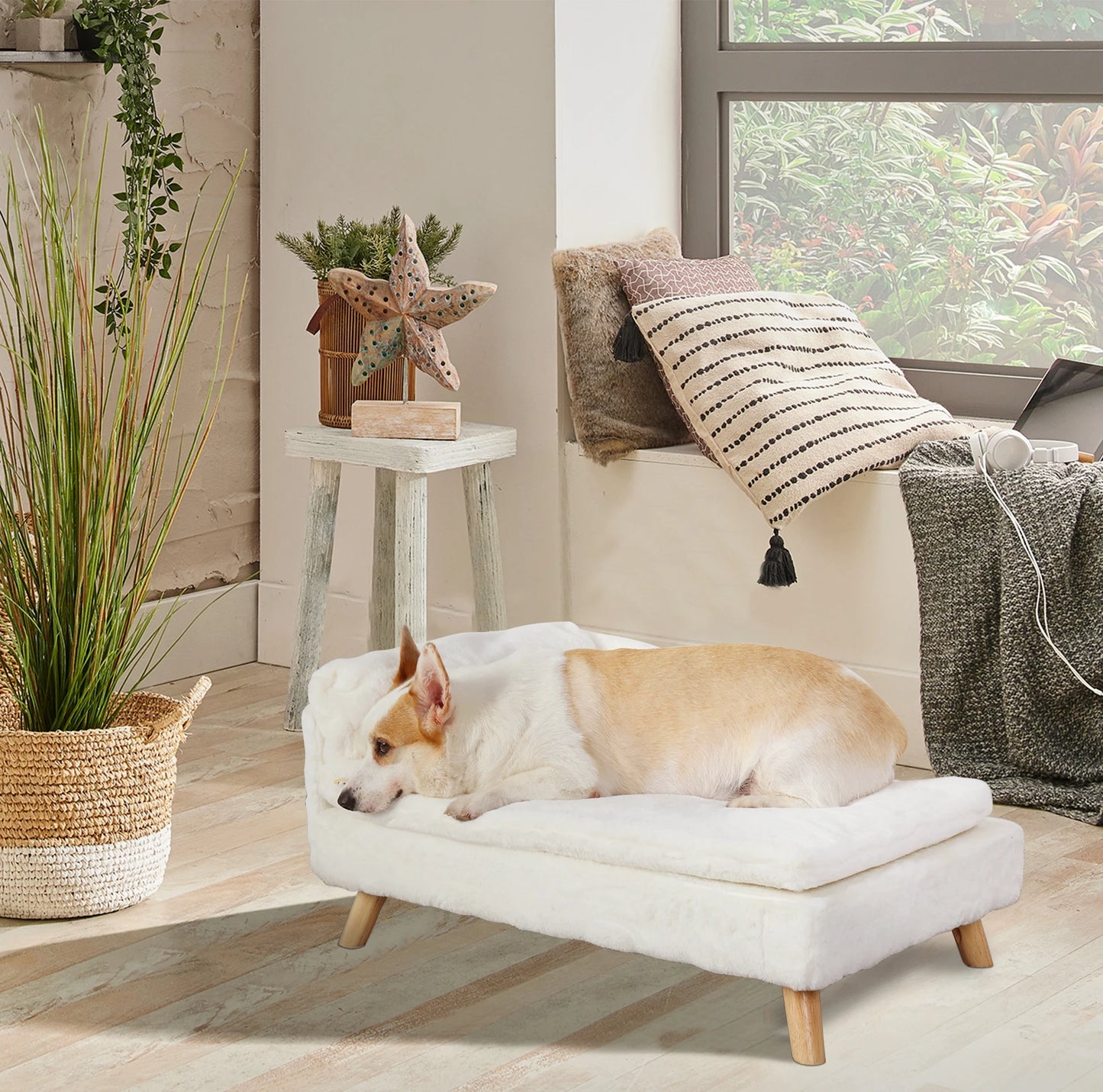 Elevated Pet Bed – With Cozy Pad