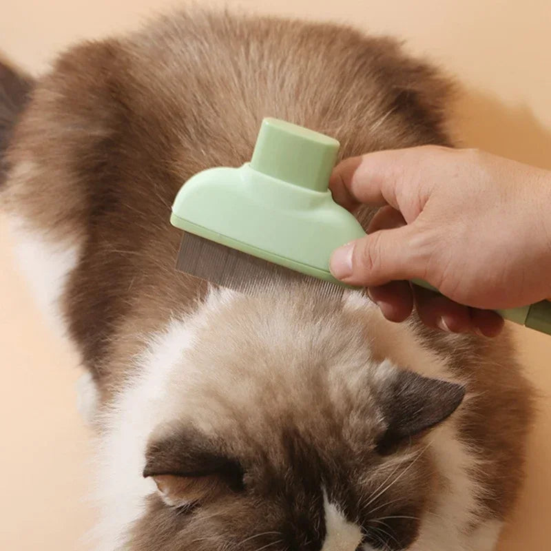 Pet Grooming Brush