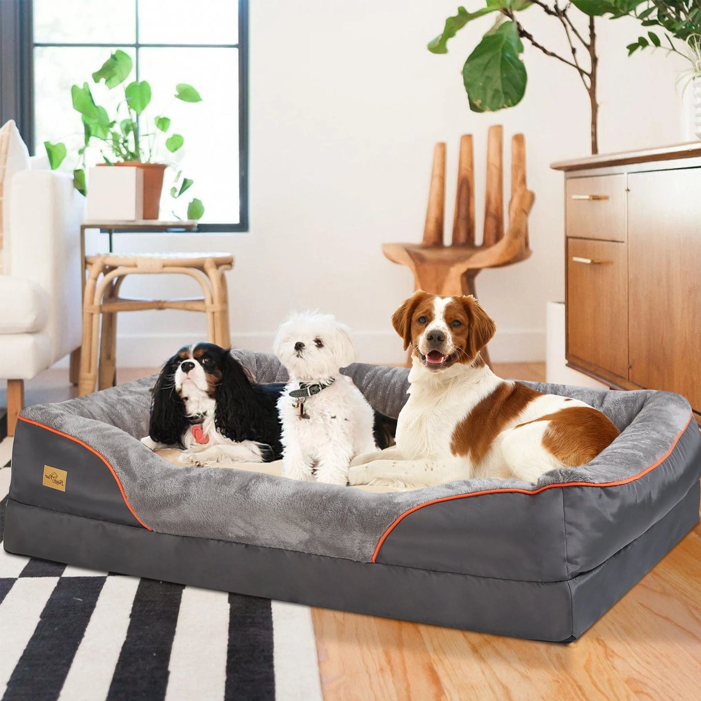 Orthopedic Dog Bed – Super Soft Foam