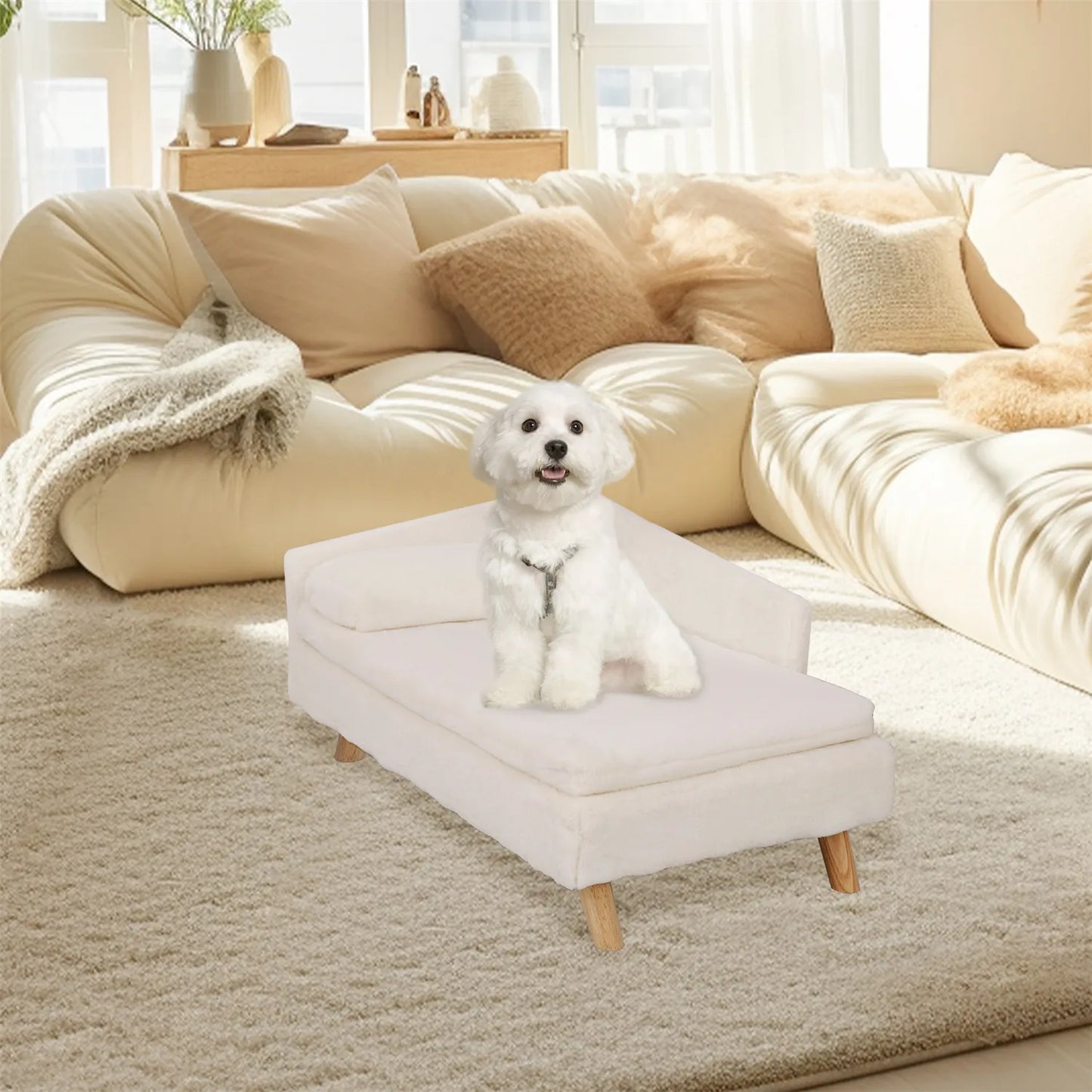 Elevated Pet Bed – With Cozy Pad