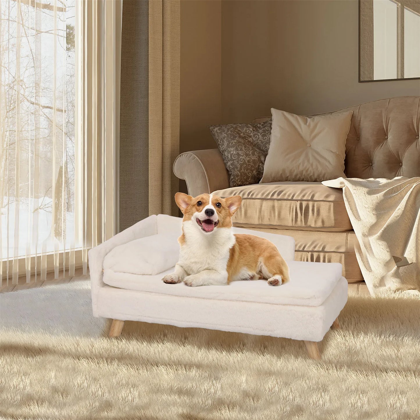 Elevated Pet Bed – With Cozy Pad