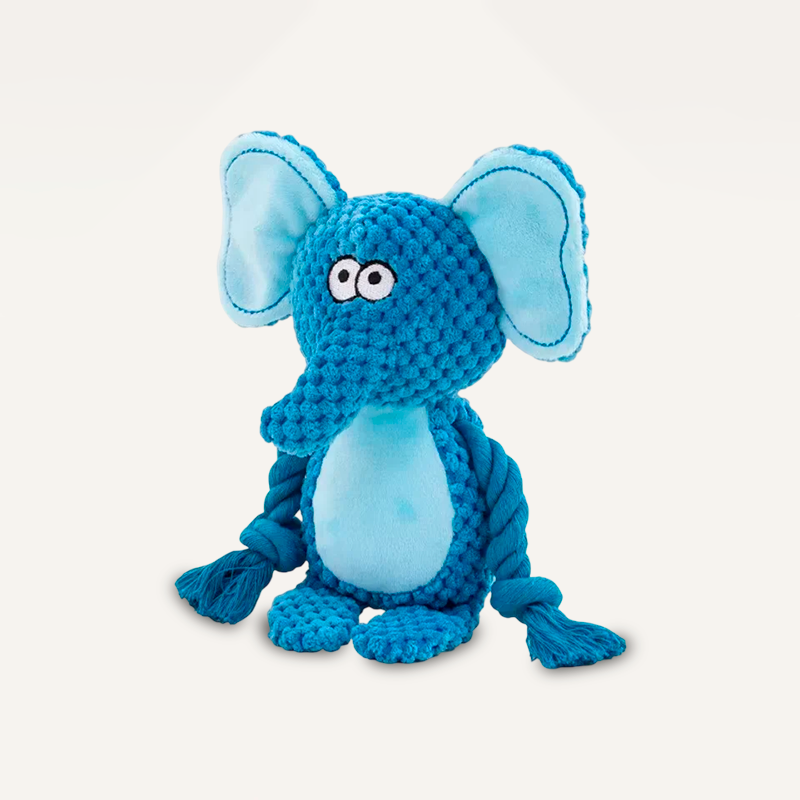 Tough Squeaky Dog Chew Toy