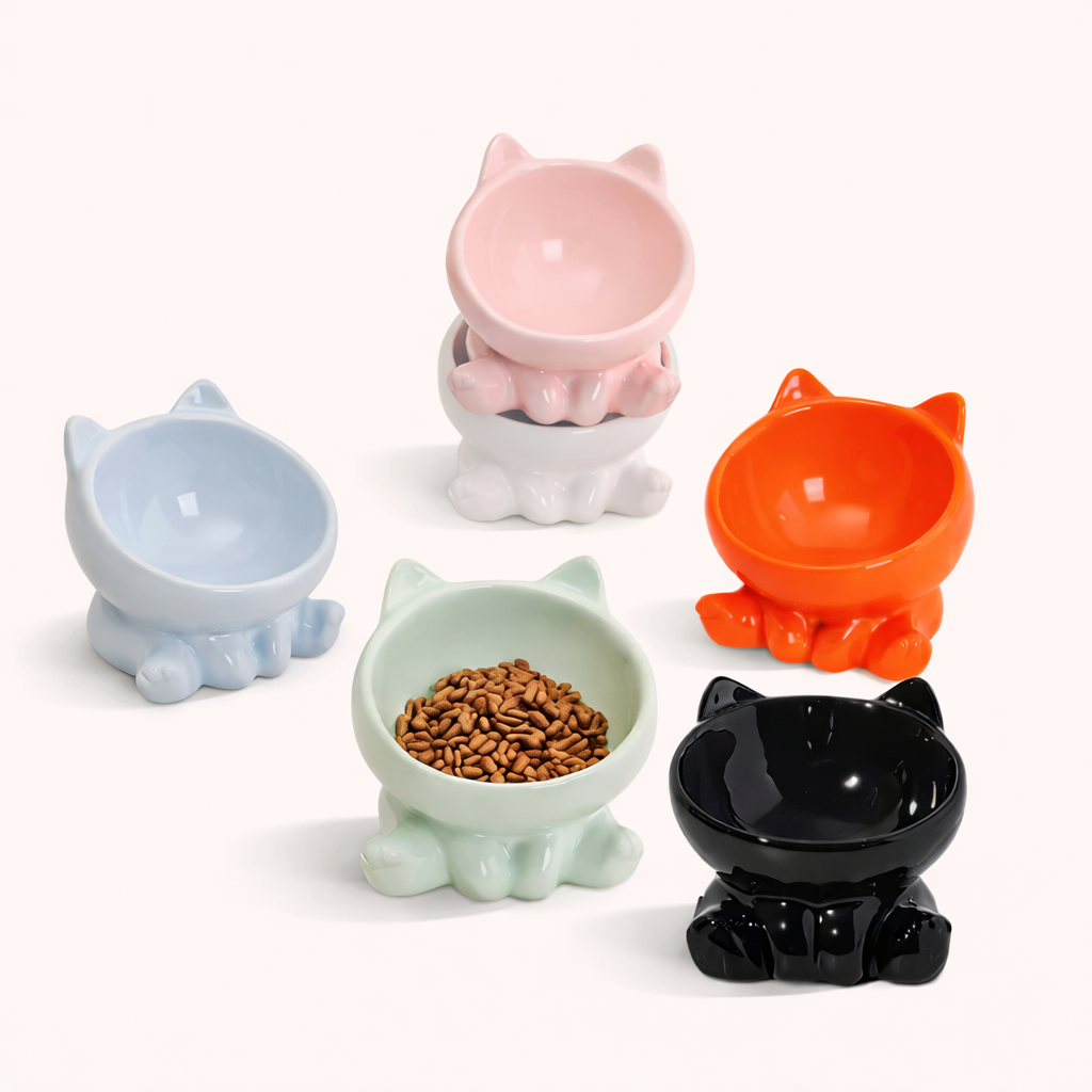 Set of 2 Ceramic Dog & Cat Bowl