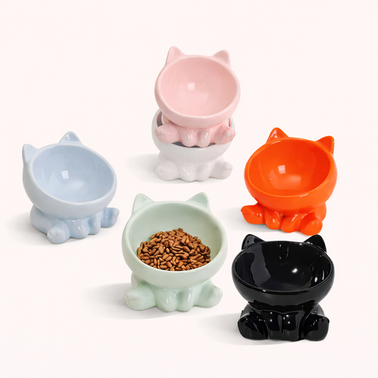 Set of 2 Ceramic Dog & Cat Bowl