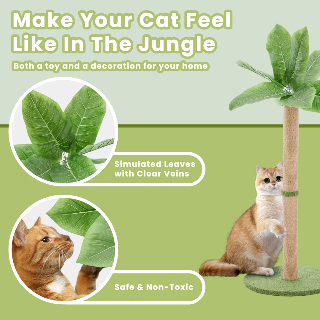 Tall Scratching Post with Dangling Ball