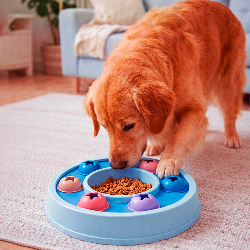 Vibes Play – Toy Mental Stimulation