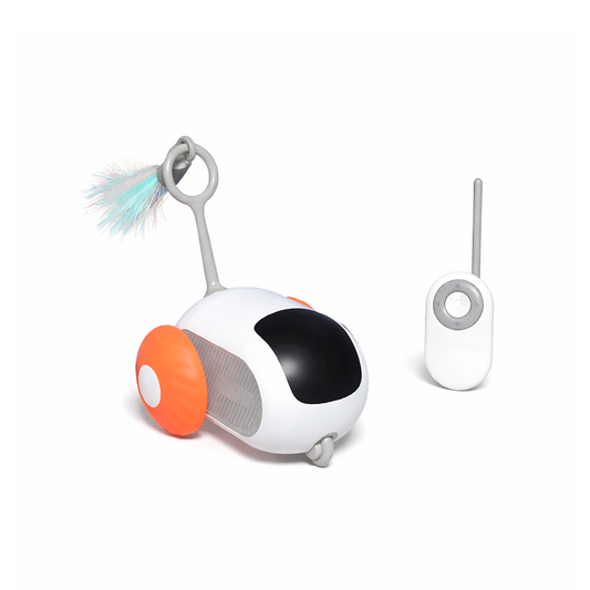 Smart Interactive Cat Toy Car