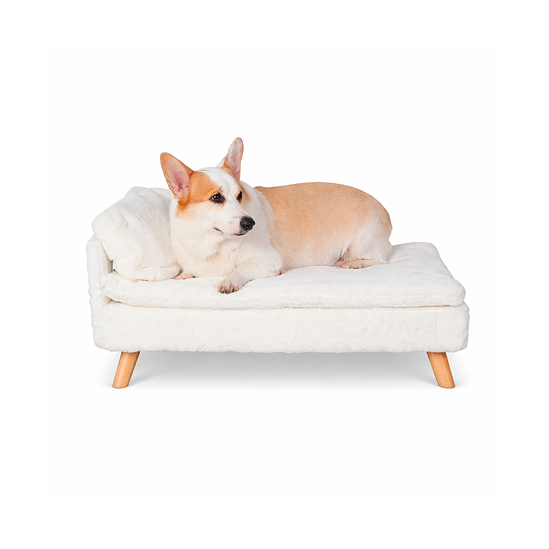 Elevated Pet Bed – With Cozy Pad