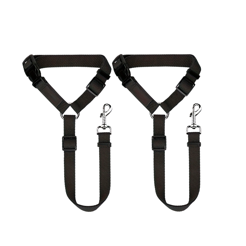 Durable 2-Piece Dog Leash Set