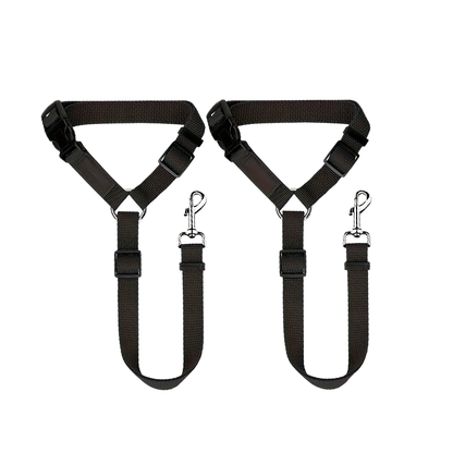 Durable 2-Piece Dog Leash Set
