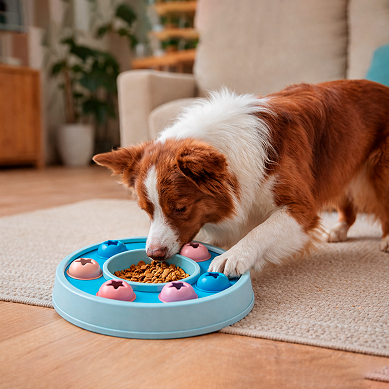 Vibes Play – Toy Mental Stimulation