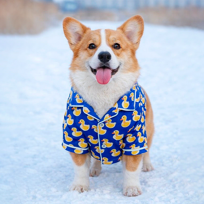 Pet Outfit - Duck Vibes
