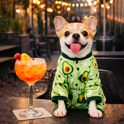 Pet Outfit - Avocado Vibes