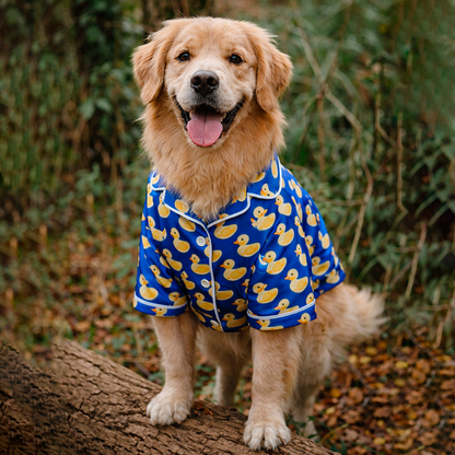 Pet Outfit - Duck Vibes